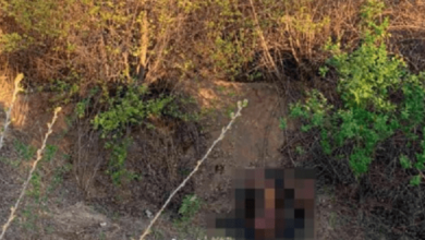 Обгоревший труп нашли у железной дороги на Николаевщине | Корабелов.ИНФО