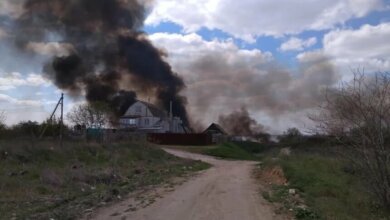 В Лиманах подростки с хаски устроили масштабный пожар камыша | Корабелов.ИНФО