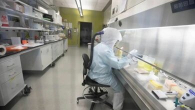 В США раскрыли теорию о происхождении коронавируса в китайской лаборатории | Корабелов.ИНФО
