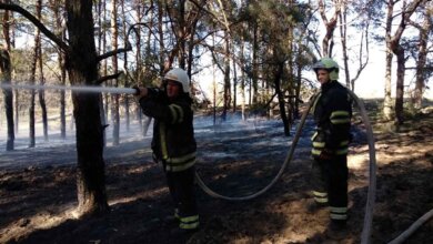 Спасатели тушили Балабановский лес: пожар возник из-за поджога | Корабелов.ИНФО
