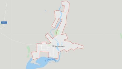 Коронавирус: односельчан на Николаевщине могли заразить приехавшие из Польши рабочие. Подробности | Корабелов.ИНФО