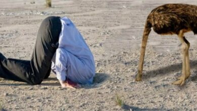 Надо просто перестать считать? В Украине проводят меньше всего тестов на коронавирус в Европе | Корабелов.ИНФО