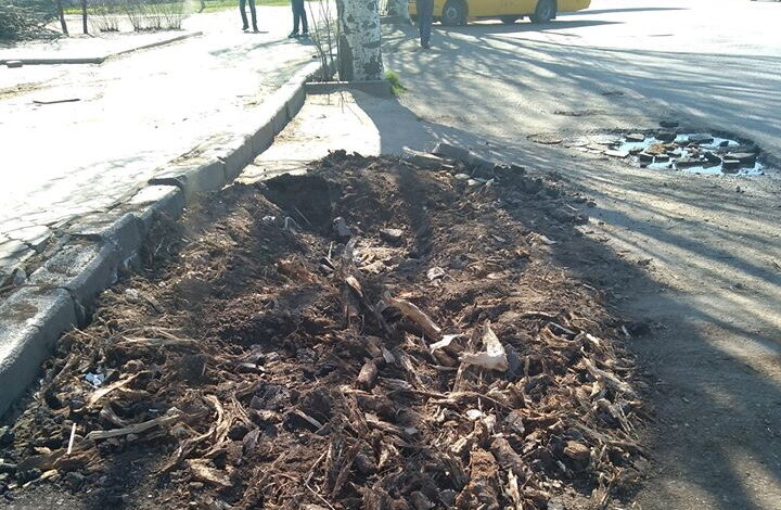 "Можно доделать?", - жительница Корабельного района просит убрать с дороги перед остановкой остатки пня | Корабелов.ИНФО image 1