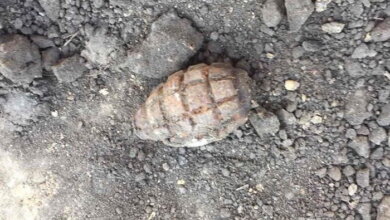 Николаевские пиротехники уничтожили гранату, найденную в "Царском селе" | Корабелов.ИНФО