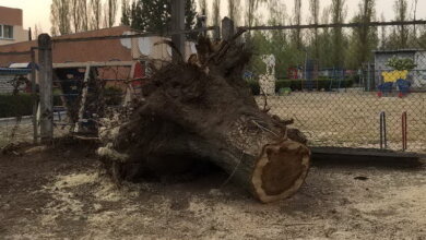 Ніяк не впораються... У Корабельному влада знов звітує про прибирання в районі, але до повного порядку ще далеко | Корабелов.ИНФО image 2