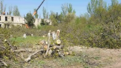 В Корабельном районе начался демонтаж старой "инфекционки" и снос деревьев возле больницы | Корабелов.ИНФО image 2