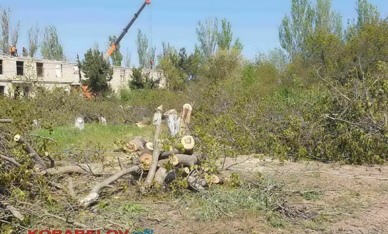 В Корабельном районе начался демонтаж старой "инфекционки" и снос деревьев возле больницы | Корабелов.ИНФО image 2