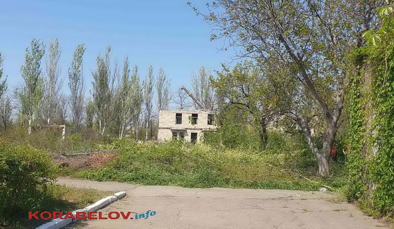 снос деревьев и старой "инфекционки"