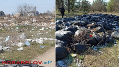 "Сплошная мусорная свалка", - николаевцы возмутились беспорядками возле дач и в Галицыновском лесу | Корабелов.ИНФО