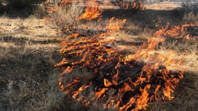 Кабмин предлагает повысить до 6000 грн штраф за поджог сухой травы | Корабелов.ИНФО