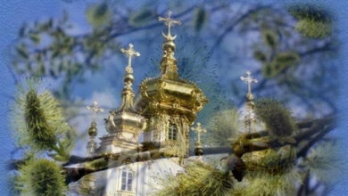 «Отнесете на кладбище эту вербу», - Сенкевич возмутился, что николаевцы не придерживаются карантина | Корабелов.ИНФО