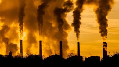 В Корабельном районе опасно загрязнен воздух, – SaveEcoBot | Корабелов.ИНФО image 1