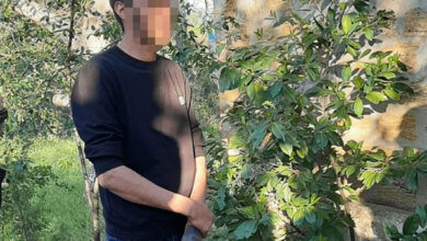 Задержан убийца жителя Витовского района - им оказался 22-летний односельчанин (Видео) | Корабелов.ИНФО image 1