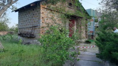 Женщина искала брата - на Витовщине полиция нашла закопанное тело в саду | Корабелов.ИНФО