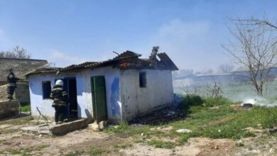 В Витовском районе дети сожгли сарай — дом от огня спасли пожарные | Корабелов.ИНФО