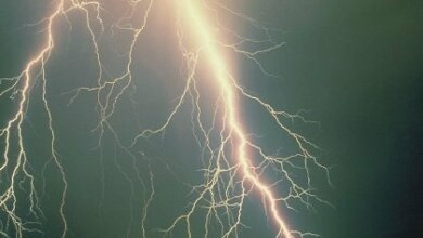 На Николаевщине молния убила 15-летнего подростка | Корабелов.ИНФО