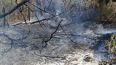Возле "Галициновских" дач выгорело 4 гектара сухой травы и мусора | Корабелов.ИНФО