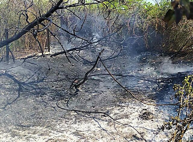Возле "Галициновских" дач выгорело 4 гектара сухой травы и мусора | Корабелов.ИНФО