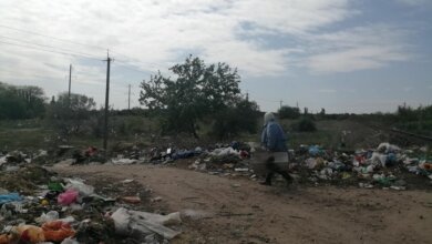 В Галицыновке "поймали на горячем" дачницу, выкидывающую мусор в поле | Корабелов.ИНФО