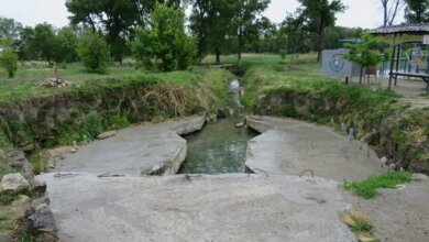 "Работа проделана сумасшедшая": жители Корабельного продолжают восстанавливать парк "Богоявленский" (Видео) | Корабелов.ИНФО