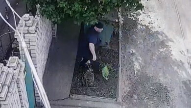 В Корабельном районе поймали "черного копателя цветов" (Видео) | Корабелов.ИНФО