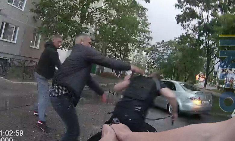 Полицейские подстрелили собаку и ее владельца. Видео конфликта | Корабелов.ИНФО