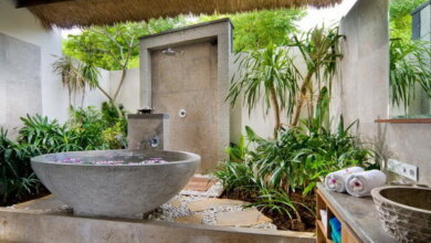 Секреты озеленения для ванной комнаты: растения и идеи дизайна | Корабелов.ИНФО