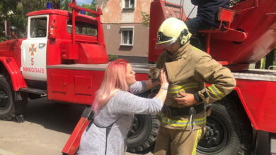 После звонка Президенту две "пожарки" приехали снимать с тополя котенка в Корабельном районе (Видео) | Корабелов.ИНФО