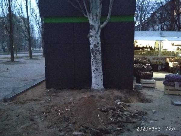 МАФ напротив 54 школы