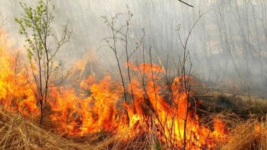 В Николаевской области объявили чрезвычайный уровень пожарной опасности | Корабелов.ИНФО