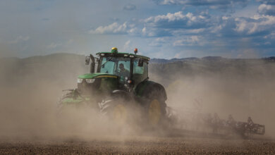 Южные районы Украины приближаются к греческому климату, - синоптик | Корабелов.ИНФО