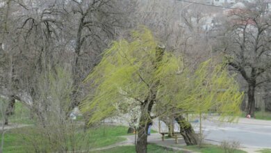 Поривчастий вітер, можливі грози... Прогноз погоди на вихідні у Миколаєві | Корабелов.ИНФО image 2