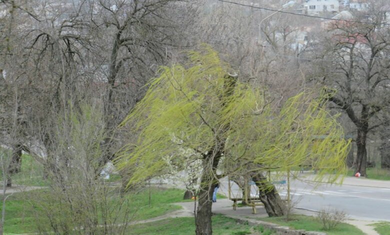 Поривчастий вітер, можливі грози... Прогноз погоди на вихідні у Миколаєві | Корабелов.ИНФО image 2