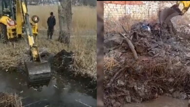 "Веря в свою мечту": николаевцы за собственные средства очистили русло реки Витовка (Видео) | Корабелов.ИНФО