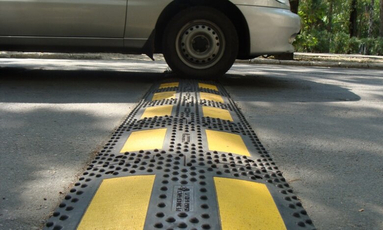 "Пронёсся, сбив собаку", - жительница Корабельного района просит о лежачих полицейские | Корабелов.ИНФО