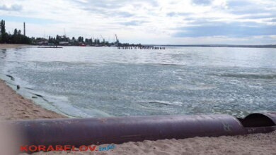 Зеленая вонючая жижа на пляже "Чайка": экологи установили причину загрязнения воды | Корабелов.ИНФО