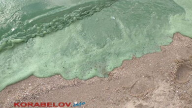 Открытие сезона: Вода на пляже "Чайка" окрасилась в ядовито-зеленый цвет | Корабелов.ИНФО