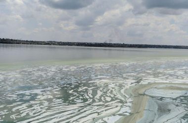 "Зеленая вонючая жижа добралась до Николаева", - горожане возмущены загрязнением реки | Корабелов.ИНФО image 9