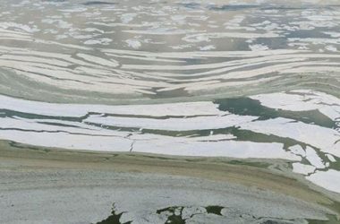 "Зеленая вонючая жижа добралась до Николаева", - горожане возмущены загрязнением реки | Корабелов.ИНФО image 5