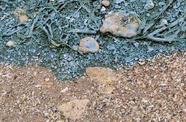 "Зеленая вонючая жижа добралась до Николаева", - горожане возмущены загрязнением реки | Корабелов.ИНФО image 6