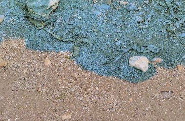 "Зеленая вонючая жижа добралась до Николаева", - горожане возмущены загрязнением реки | Корабелов.ИНФО image 2