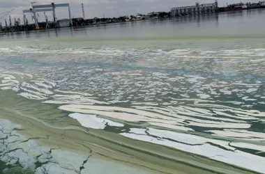 "Зеленая вонючая жижа добралась до Николаева", - горожане возмущены загрязнением реки | Корабелов.ИНФО image 7