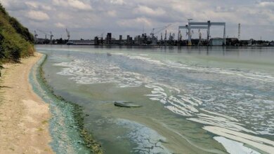 "Зеленая вонючая жижа добралась до Николаева", - горожане возмущены загрязнением реки | Корабелов.ИНФО image 1