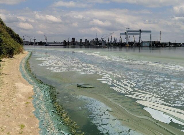 "Зеленая вонючая жижа добралась до Николаева", - горожане возмущены загрязнением реки | Корабелов.ИНФО image 1