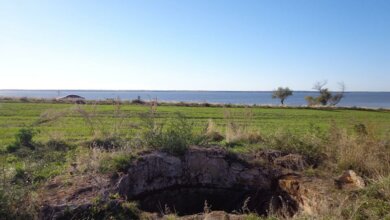 Криниці Вітовщини: не лише історична пам'ятка, а й резервні джерела у спекотному південному степу | Корабелов.ИНФО image 6