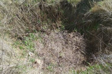 Криниці Вітовщини: не лише історична пам'ятка, а й резервні джерела у спекотному південному степу | Корабелов.ИНФО image 2