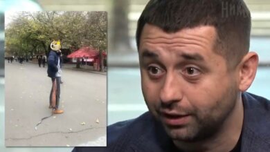 Нардеп от "Слуги народа" обвинил мэра Сенкевича в том, что на людей в центре Николаева нападают собаки | Корабелов.ИНФО