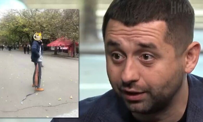 Нардеп от "Слуги народа" обвинил мэра Сенкевича в том, что на людей в центре Николаева нападают собаки | Корабелов.ИНФО