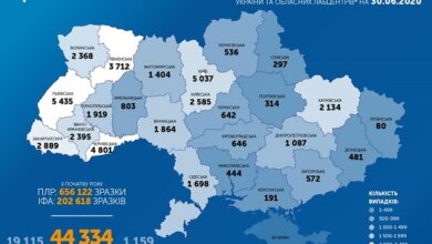 Коронавирус: в Украине выявили 706 новых случаев, всего заболевших - 44334 | Корабелов.ИНФО