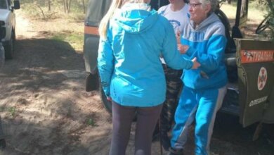 Масштабные поиски: в Олешковских лесах потерялась пенсионерка из Николаева | Корабелов.ИНФО